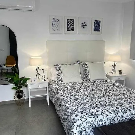 Xvii A Morales & Arnal *