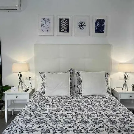 Xvii A Morales & Arnal * Ronda