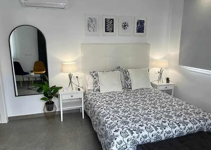 Xvii A Morales & Arnal *