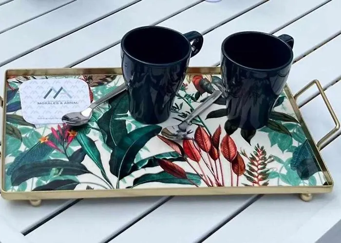 Xvii A Morales & Arnal 公寓 *