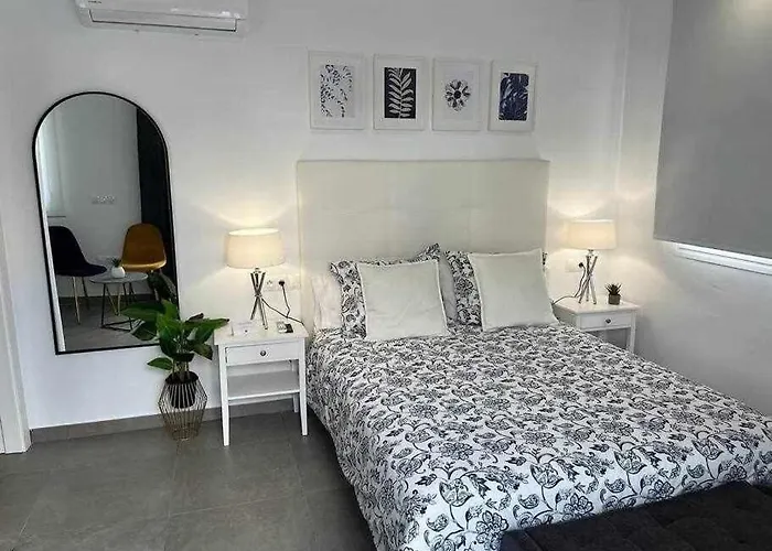 Xvii A Morales & Arnal *